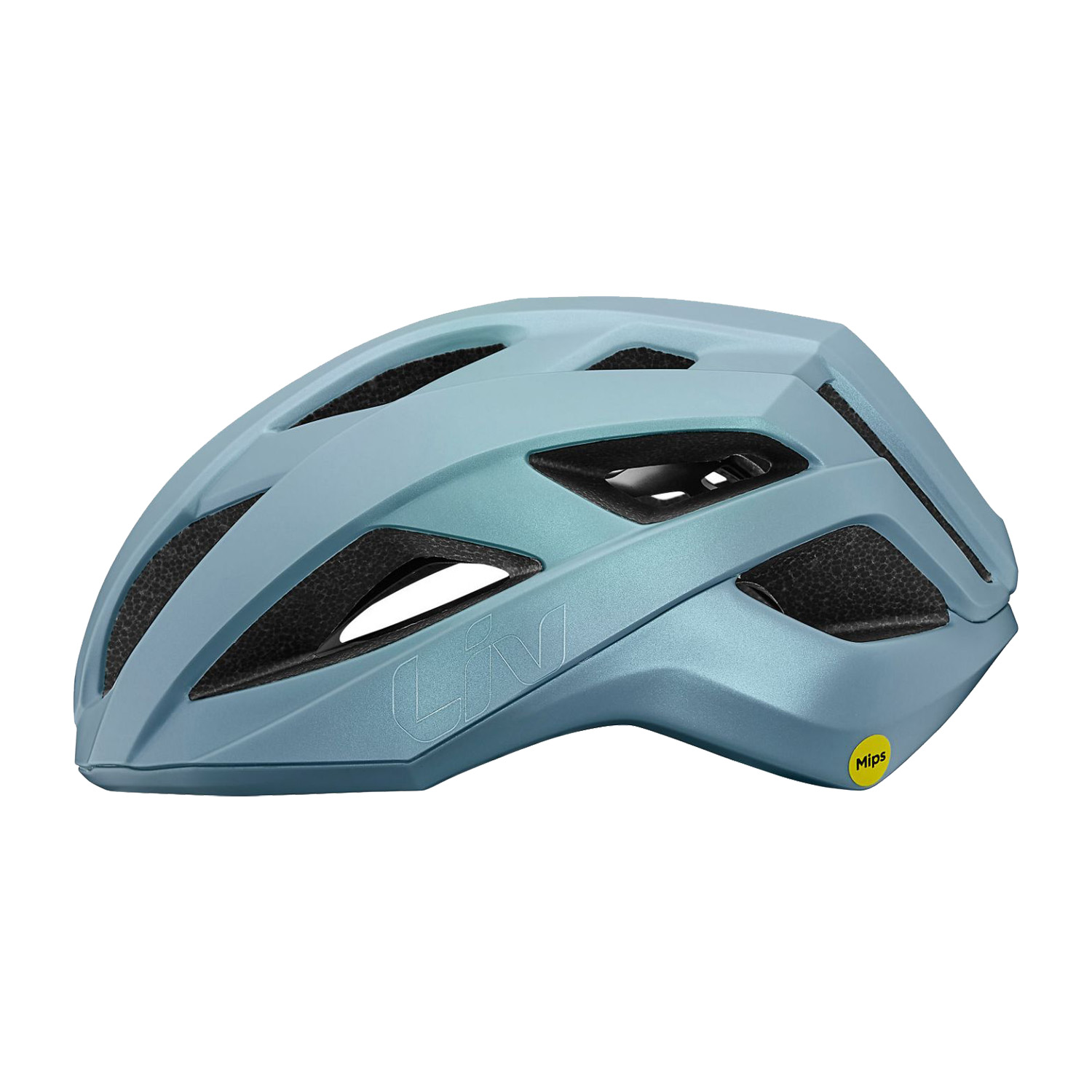 Liv Rev Comp helm