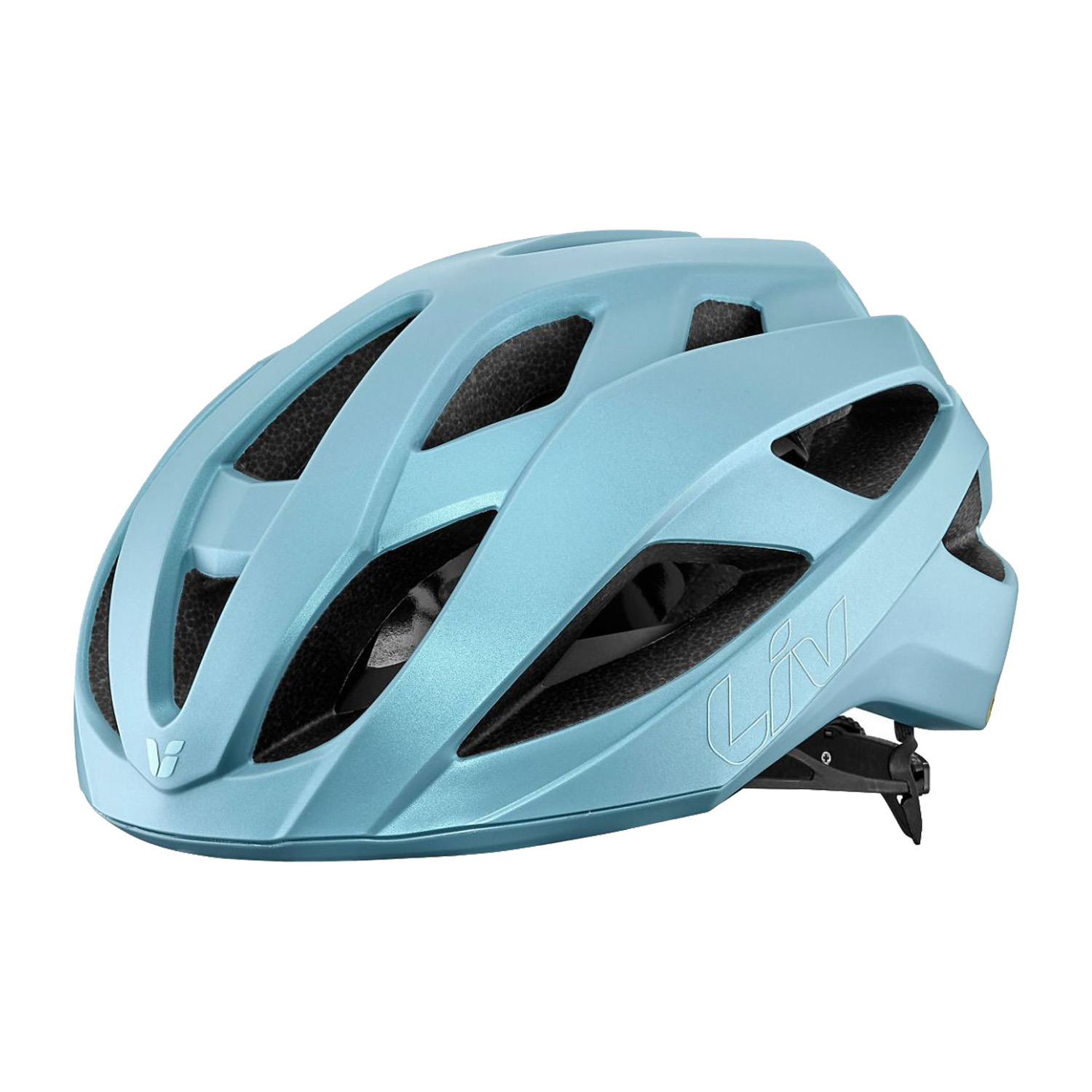 Liv Rev Comp helm